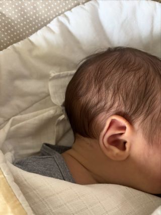 Po třech letech jsme si předvánoční sezónu opět trochu zpestřili a přivítali jsme nového člena do našeho rozvoněného týmu....